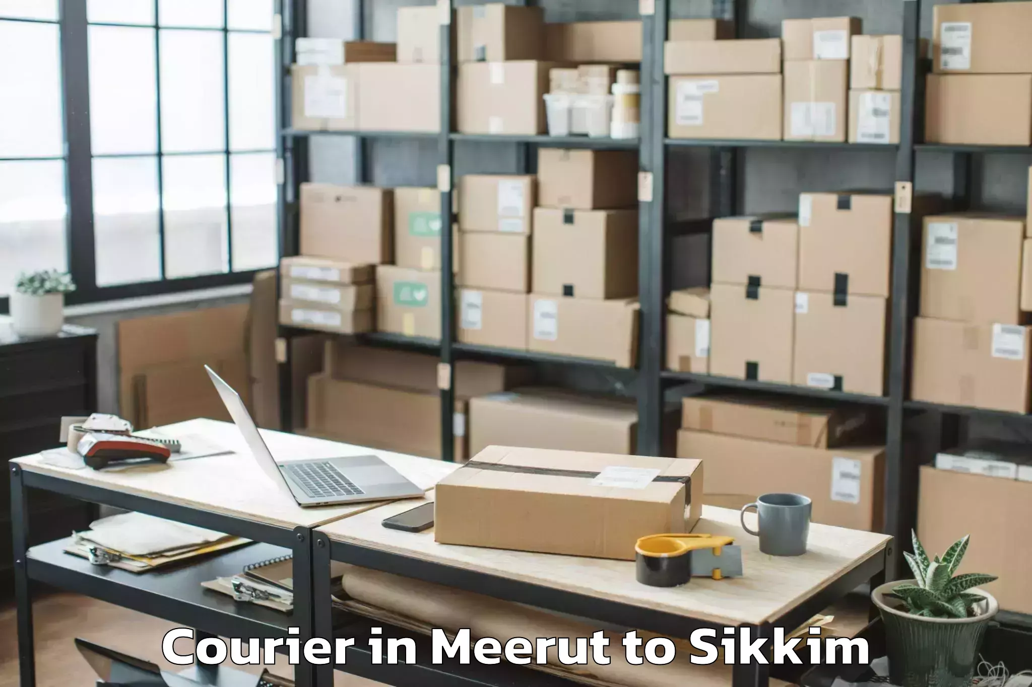 Trusted Meerut to Geyzing Courier